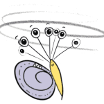 Flying Snail for Snail & Butterfly Storybook Sticker Sheet